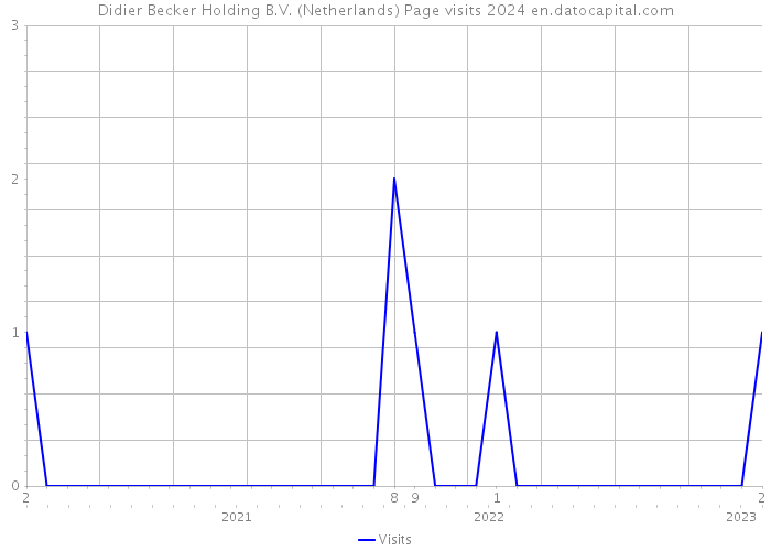 Didier Becker Holding B.V. (Netherlands) Page visits 2024 