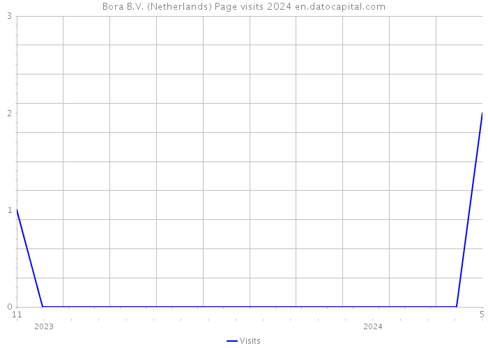 Bora B.V. (Netherlands) Page visits 2024 