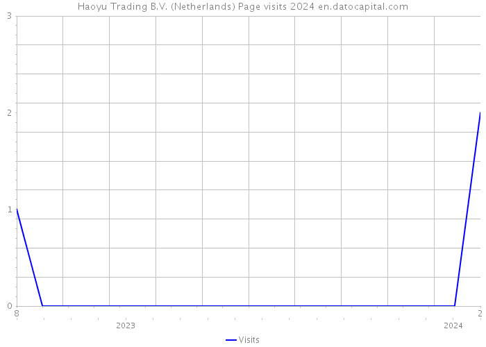 Haoyu Trading B.V. (Netherlands) Page visits 2024 
