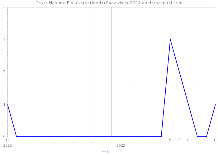 Gever Holding B.V. (Netherlands) Page visits 2024 