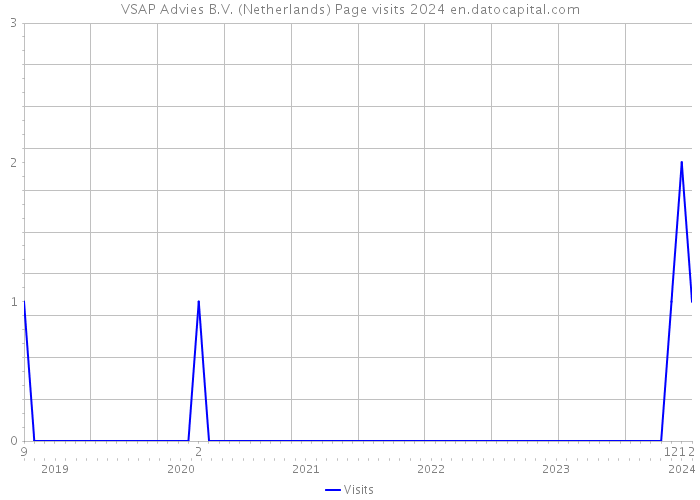 VSAP Advies B.V. (Netherlands) Page visits 2024 