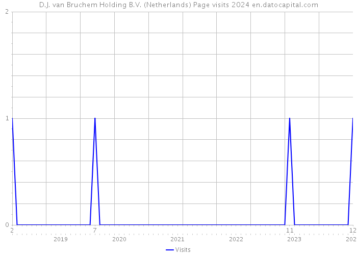 D.J. van Bruchem Holding B.V. (Netherlands) Page visits 2024 