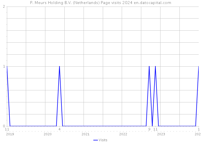 P. Meurs Holding B.V. (Netherlands) Page visits 2024 