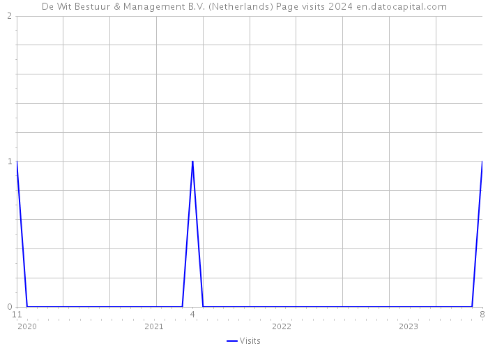 De Wit Bestuur & Management B.V. (Netherlands) Page visits 2024 