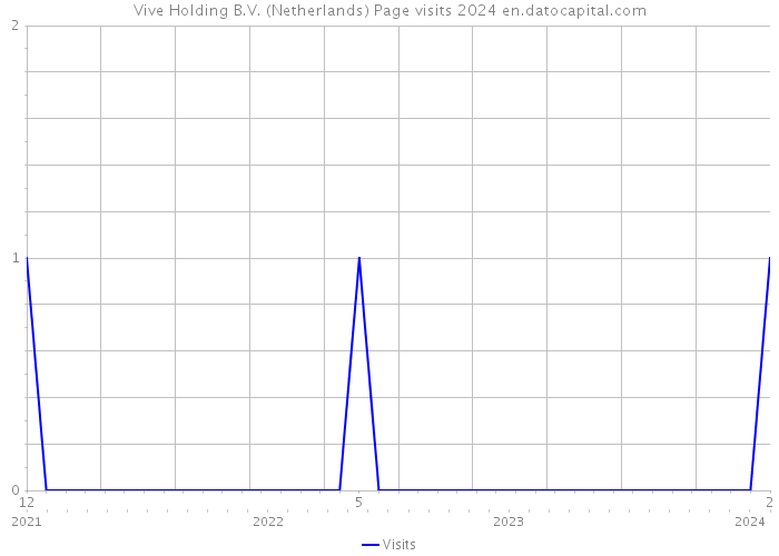 Vive Holding B.V. (Netherlands) Page visits 2024 