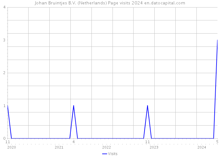 Johan Bruintjes B.V. (Netherlands) Page visits 2024 