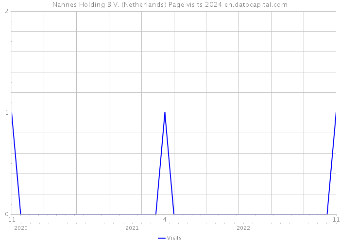 Nannes Holding B.V. (Netherlands) Page visits 2024 