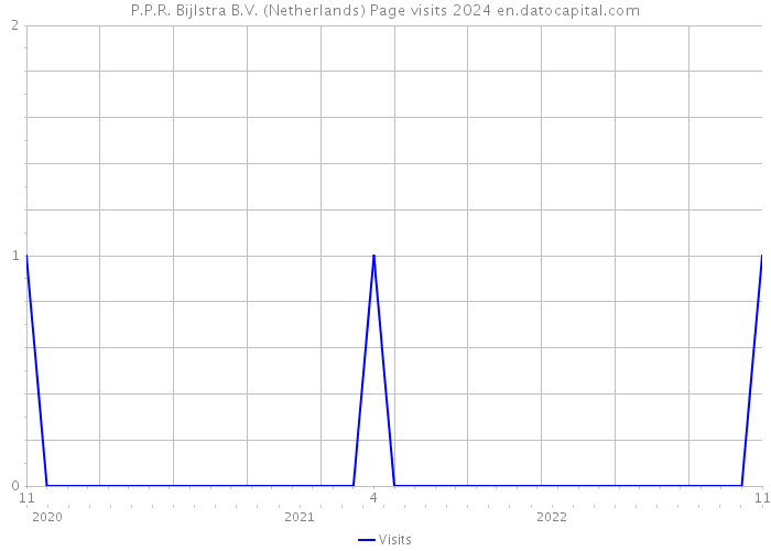 P.P.R. Bijlstra B.V. (Netherlands) Page visits 2024 