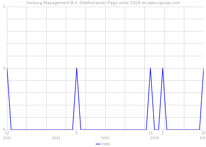 Verburg Management B.V. (Netherlands) Page visits 2024 
