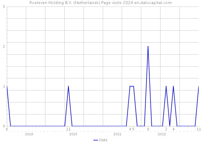 Roeleven Holding B.V. (Netherlands) Page visits 2024 