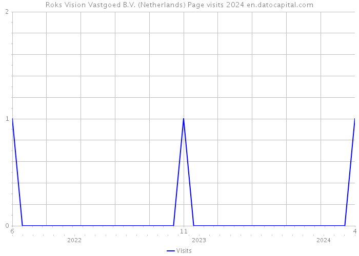 Roks Vision Vastgoed B.V. (Netherlands) Page visits 2024 