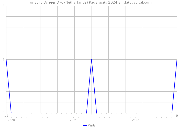Ter Burg Beheer B.V. (Netherlands) Page visits 2024 