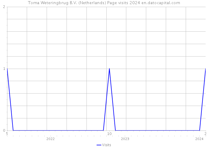 Toma Weteringbrug B.V. (Netherlands) Page visits 2024 