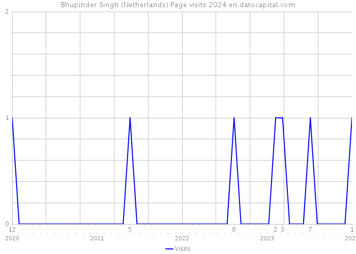 Bhupinder Singh (Netherlands) Page visits 2024 