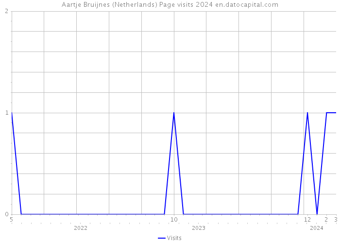 Aartje Bruijnes (Netherlands) Page visits 2024 
