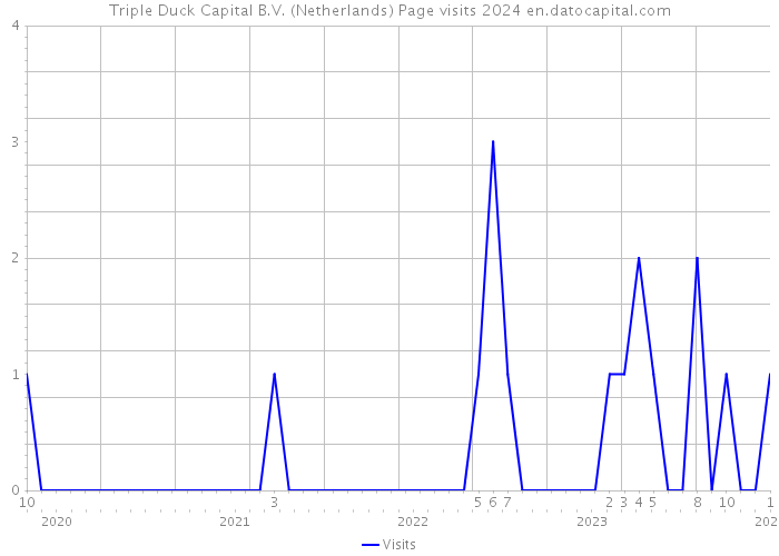 Triple Duck Capital B.V. (Netherlands) Page visits 2024 