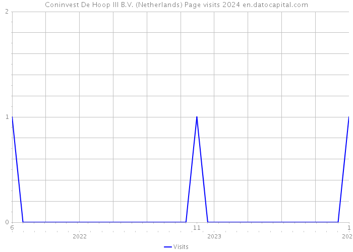 Coninvest De Hoop III B.V. (Netherlands) Page visits 2024 