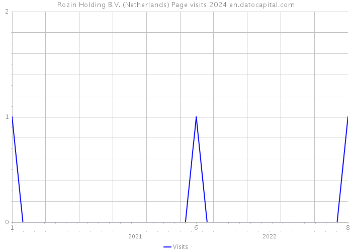 Rozin Holding B.V. (Netherlands) Page visits 2024 