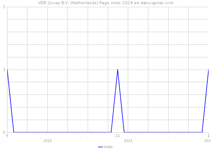 VDR Groep B.V. (Netherlands) Page visits 2024 