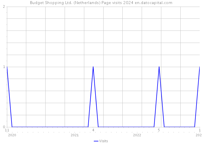 Budget Shopping Ltd. (Netherlands) Page visits 2024 
