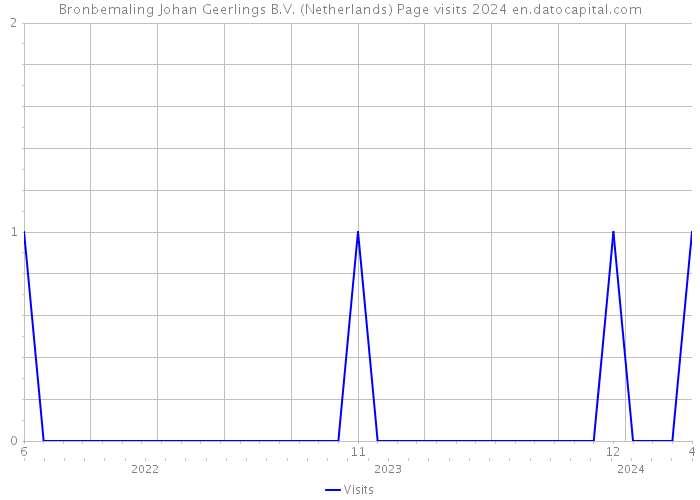 Bronbemaling Johan Geerlings B.V. (Netherlands) Page visits 2024 