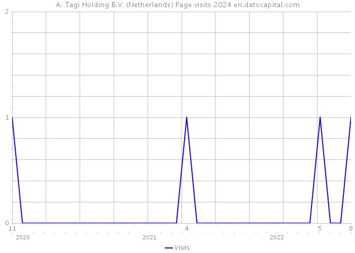 A. Tagi Holding B.V. (Netherlands) Page visits 2024 