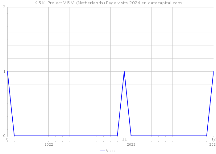 K.B.K. Project V B.V. (Netherlands) Page visits 2024 