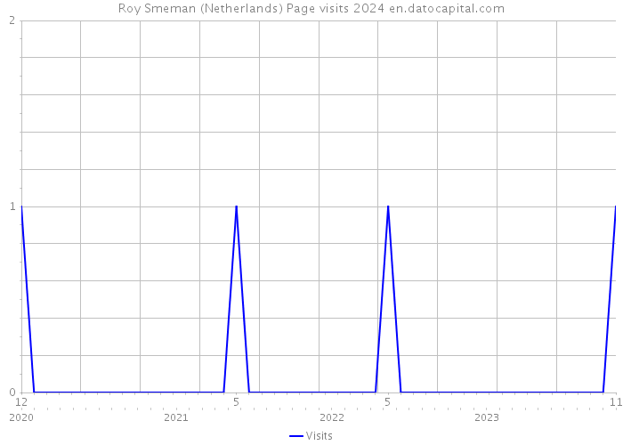 Roy Smeman (Netherlands) Page visits 2024 
