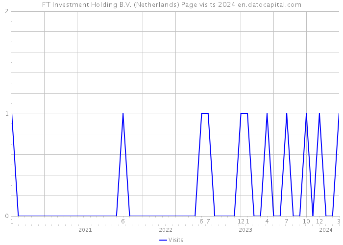 FT Investment Holding B.V. (Netherlands) Page visits 2024 