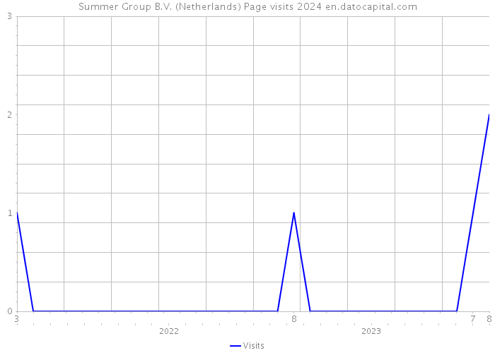 Summer Group B.V. (Netherlands) Page visits 2024 