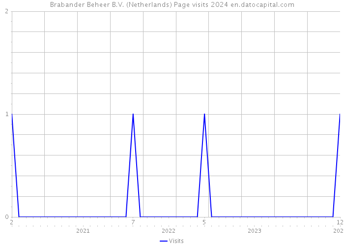Brabander Beheer B.V. (Netherlands) Page visits 2024 