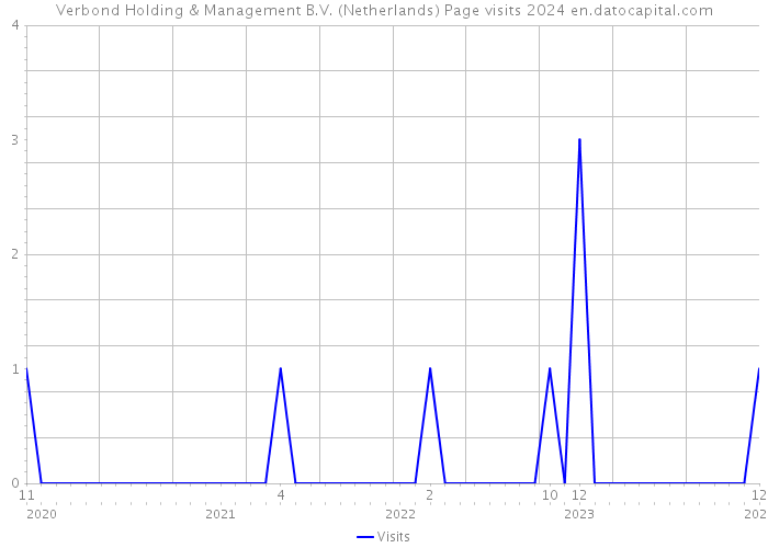 Verbond Holding & Management B.V. (Netherlands) Page visits 2024 