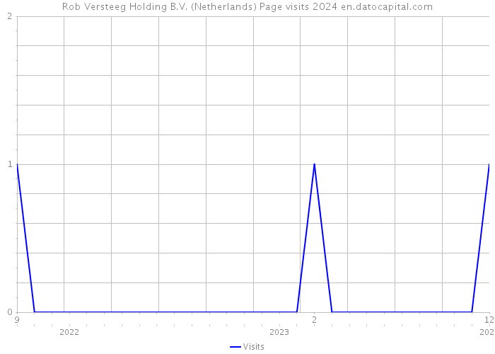 Rob Versteeg Holding B.V. (Netherlands) Page visits 2024 