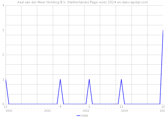 Aad van der Meer Holding B.V. (Netherlands) Page visits 2024 