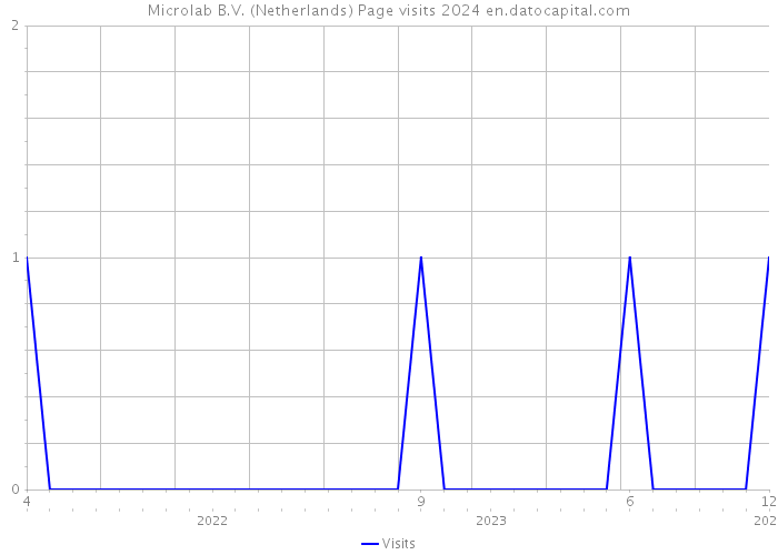 Microlab B.V. (Netherlands) Page visits 2024 
