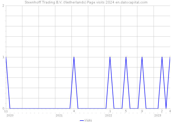 Steenhoff Trading B.V. (Netherlands) Page visits 2024 