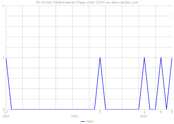 Ali Arslan (Netherlands) Page visits 2024 