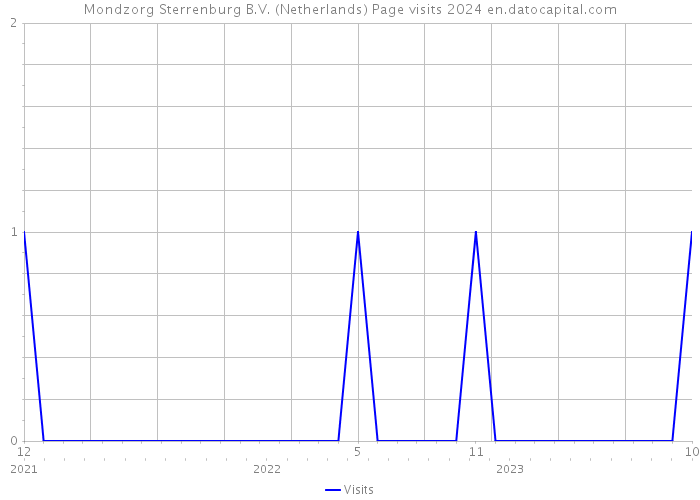 Mondzorg Sterrenburg B.V. (Netherlands) Page visits 2024 