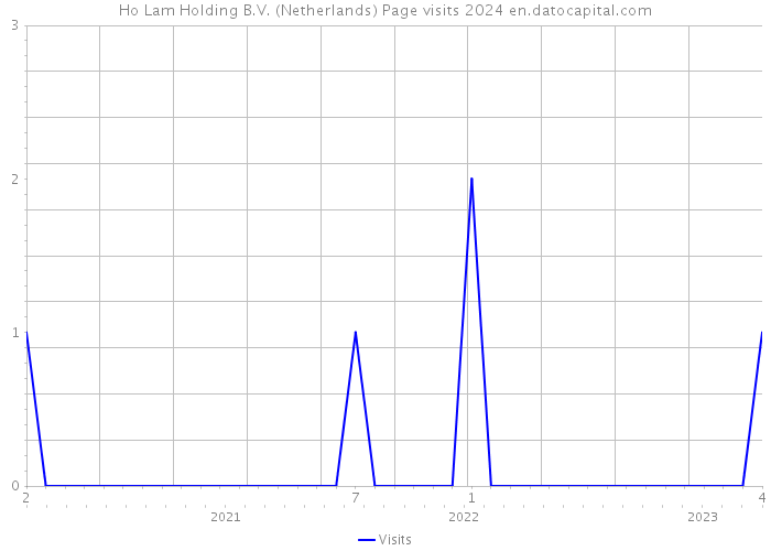 Ho Lam Holding B.V. (Netherlands) Page visits 2024 
