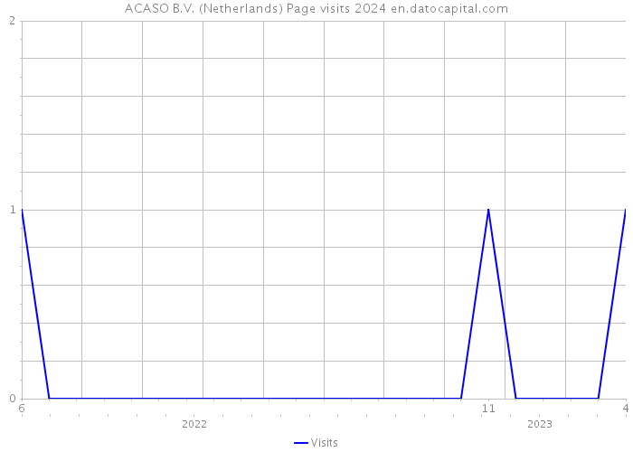 ACASO B.V. (Netherlands) Page visits 2024 