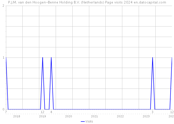 P.J.M. van den Hoogen-Benne Holding B.V. (Netherlands) Page visits 2024 