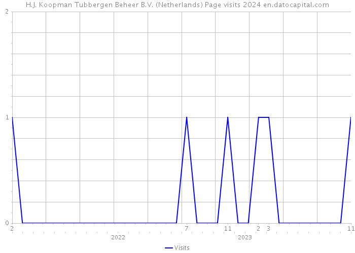 H.J. Koopman Tubbergen Beheer B.V. (Netherlands) Page visits 2024 