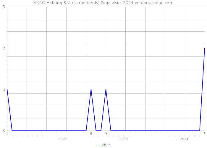 AKRO Holding B.V. (Netherlands) Page visits 2024 