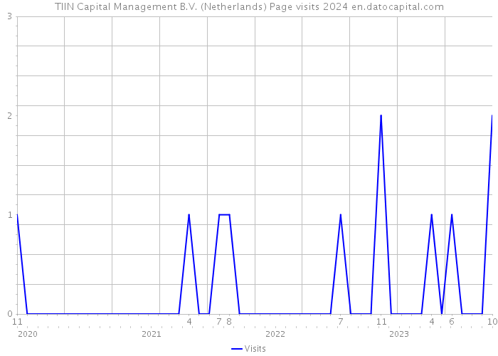 TIIN Capital Management B.V. (Netherlands) Page visits 2024 