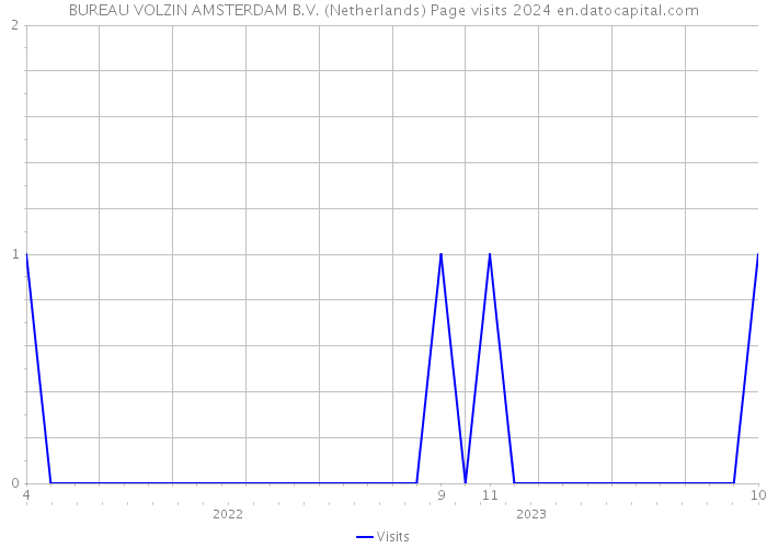 BUREAU VOLZIN AMSTERDAM B.V. (Netherlands) Page visits 2024 