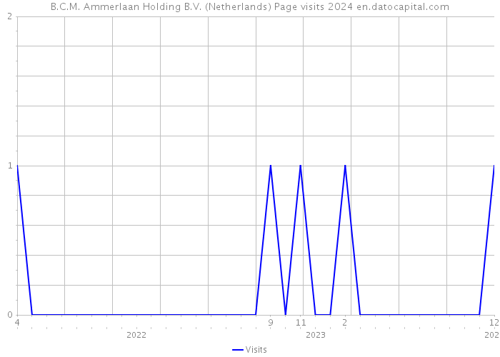 B.C.M. Ammerlaan Holding B.V. (Netherlands) Page visits 2024 