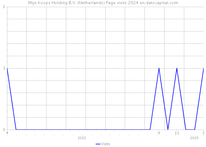 Mijn Koops Holding B.V. (Netherlands) Page visits 2024 