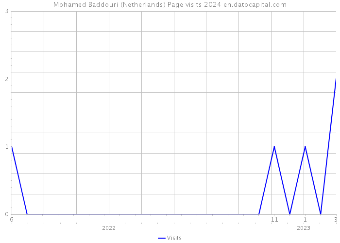Mohamed Baddouri (Netherlands) Page visits 2024 