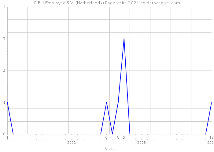 PIF II Employee B.V. (Netherlands) Page visits 2024 