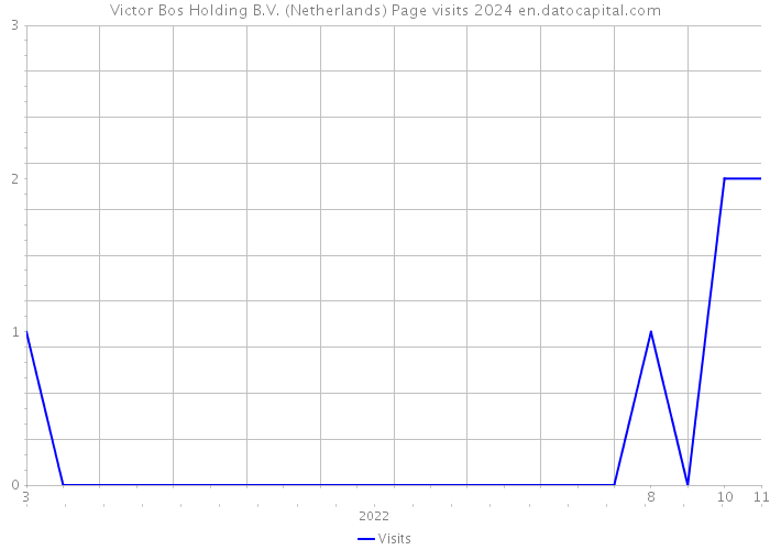 Victor Bos Holding B.V. (Netherlands) Page visits 2024 